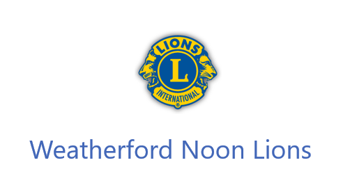 Lion Sponsor